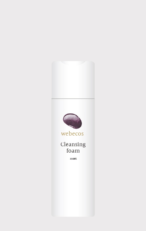 Cleansing Foam 
