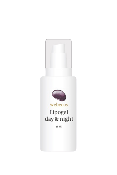 Lipogel Day & Night 